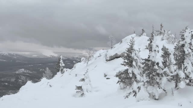 冬天的针叶树。山上森林里的岩石上有雪视频素材