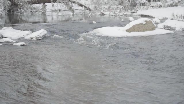 山区河流和冬季森林视频素材