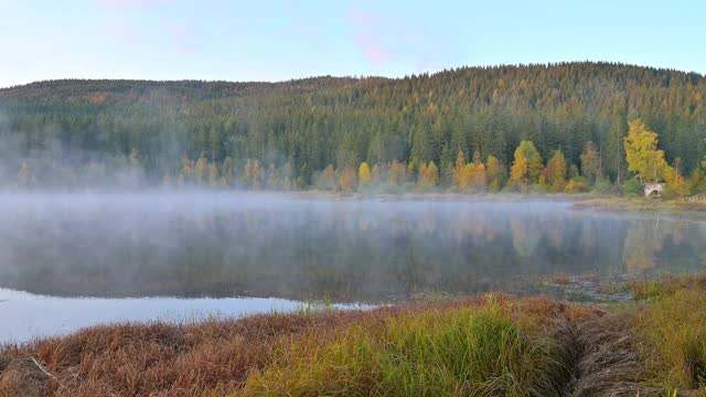 Schluchsee湖在秋天的日出，Schluchsee, Schwarzwald, Baden-Württemberg，德国视频素材