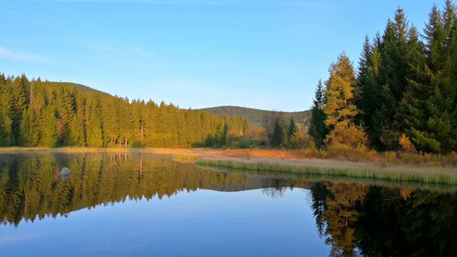 autumn的Schluchsee湖，Schluchsee, Schwarzwald, Baden-Wurttemberg，德国视频素材