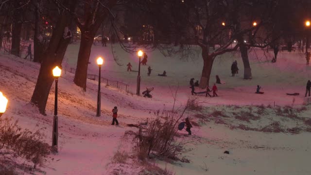 蒙特利尔公共公园在一个下雪的12月的夜晚视频素材