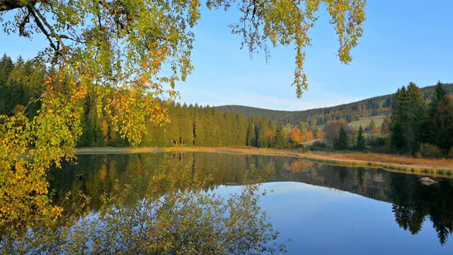 autumn的Schluchsee湖，Schluchsee, Schwarzwald, Baden-Wurttemberg，德国视频素材