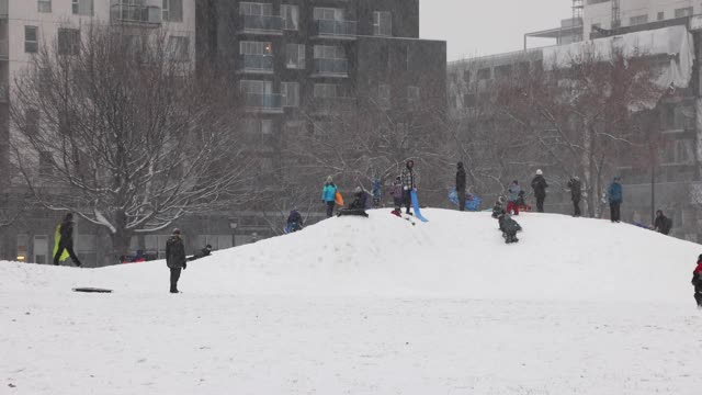 蒙特利尔公园在一个下雪的12月的一天视频素材