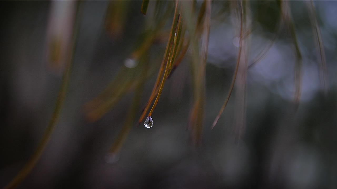 水滴HD 86视频素材