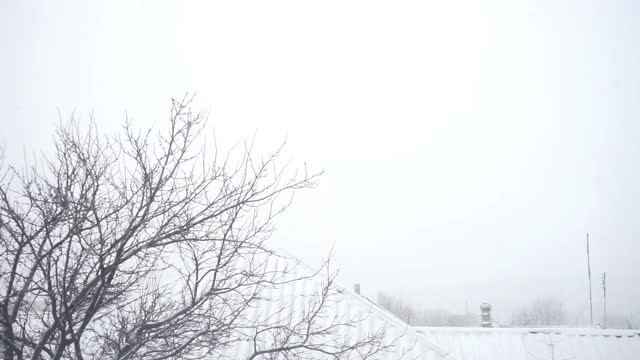 冬天的乡村景观有树，屋顶和烟囱在雪中视频素材