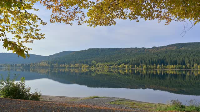 autumn的Schluchsee湖，Schluchsee, Schwarzwald, Baden-Wurttemberg，德国视频素材