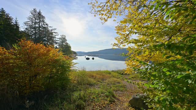 autumn的Schluchsee湖，Schluchsee, Schwarzwald, Baden-Wurttemberg，德国视频素材