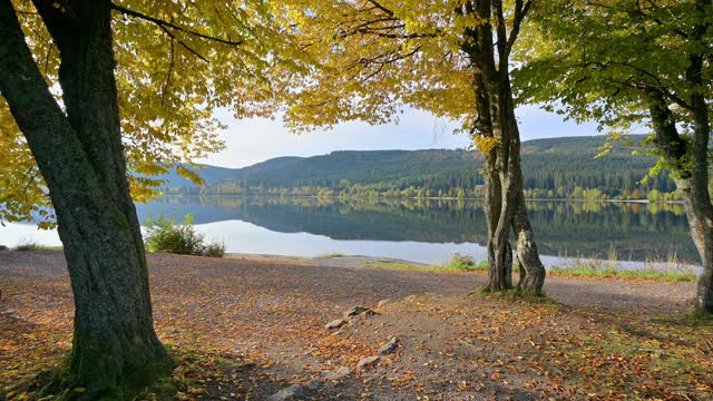 autumn的Schluchsee湖，Schluchsee, Schwarzwald, Baden-Wurttemberg，德国视频素材