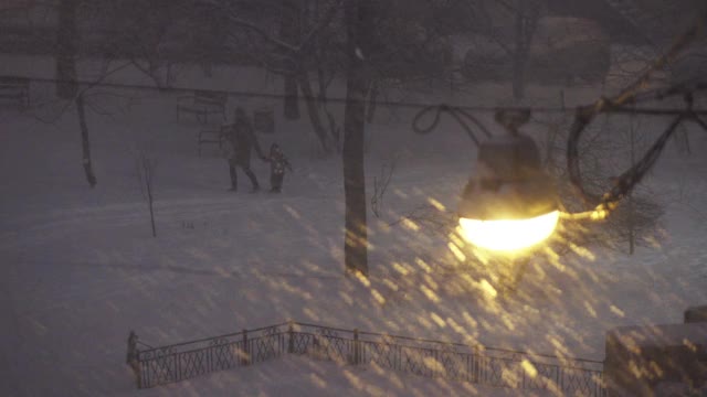 恶劣的天气，雨和湿雪。反思之光。雪在城市的夜晚，多莉zoom视频素材