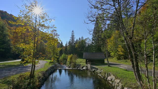 威斯河与阳光在秋天，Todtnau，施瓦茨瓦尔德，Baden-Württemberg，德国视频素材