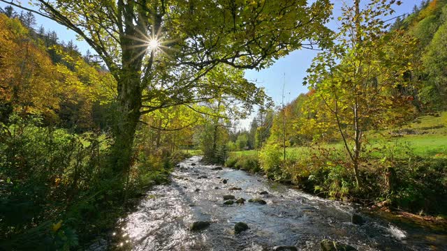 威斯河与阳光在秋天，Todtnau，施瓦茨瓦尔德，Baden-Württemberg，德国视频素材