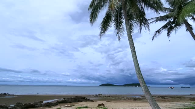 海滩和棕榈视频素材