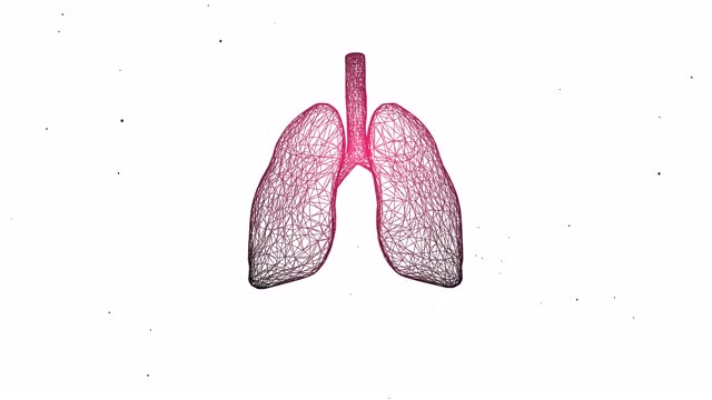 人的肺的概念。4k肺结构及其功能部件的视频。视频素材