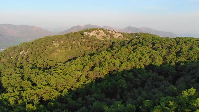 鸟瞰图飞行在松树森林的山日落。无人机飞过树梢和山丘。4K自然背景镜头。视频下载