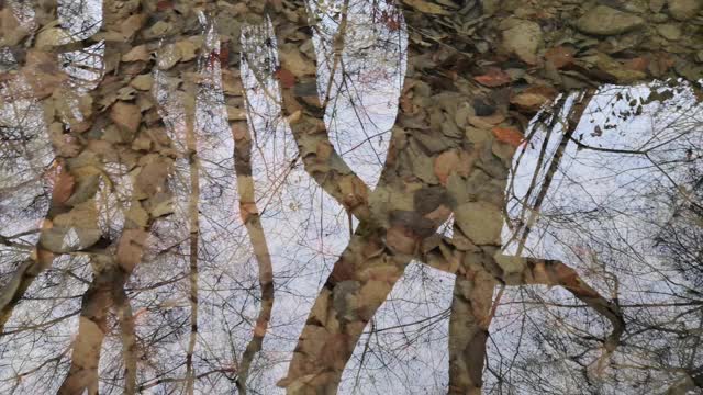 冬天山上清澈的河水视频素材