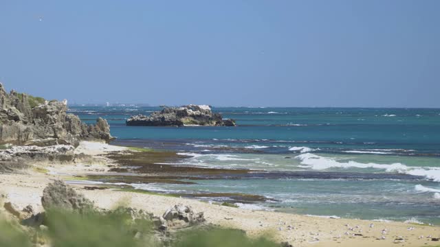 企鹅岛海滩，珀斯附近。西澳大利亚旅游风光视频素材