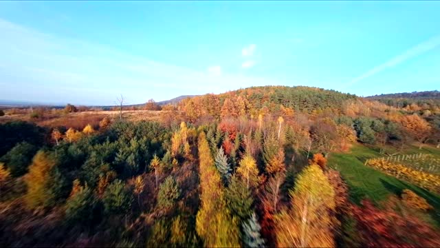 飞过树木，慢镜头鼓舞人心的秋山景观视频素材