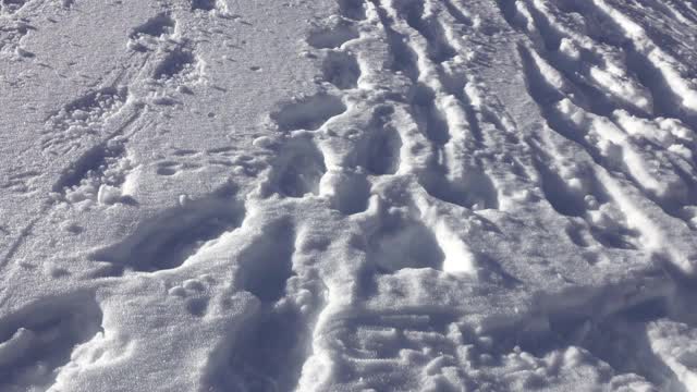 足印在雪里。雪地里的人鞋脚印视频素材