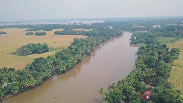 喀拉拉邦回水风景的河流和农田，印度。空中无人机视图视频素材