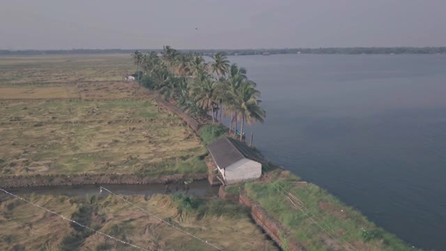 喀拉拉邦的回水景观，棕榈树，田野和湖泊在印度。空中无人机视图视频素材