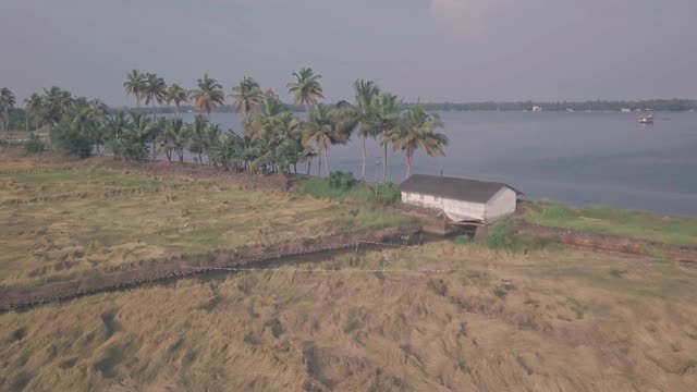 喀拉拉邦的回水风景，棕榈树，田野和湖泊在印度。空中无人机视图视频素材