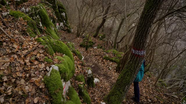 成熟的女人在山间徒步旅行视频素材