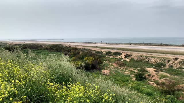 一架客机从海边的一个小机场起飞视频素材