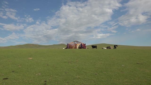 一个家庭在蒙古的草地上搭建蒙古包帐篷视频素材