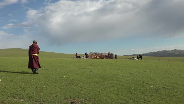 一个家庭在蒙古的草地上搭建蒙古包帐篷视频素材