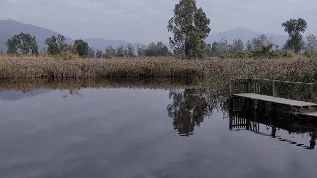 一座木桥矗立在宁静的河边视频下载