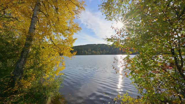 秋天有树和阳光的湖，Windgfällweiher, Lenzkirch, Schwarzwald, Baden-Württemberg，德国视频素材