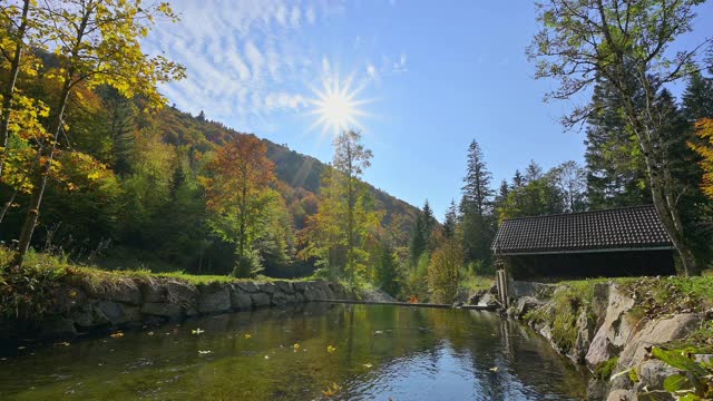 威斯河与阳光在秋天，Todtnau，施瓦茨瓦尔德，Baden-Württemberg，德国视频素材