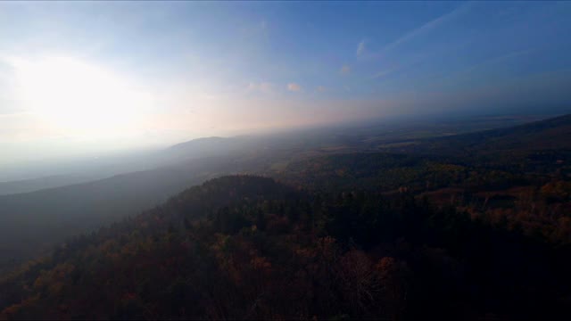 秋日飘过树梢，林间风景励志视频素材