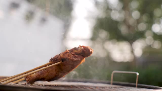 在木炭烤架上烤鸡。视频素材