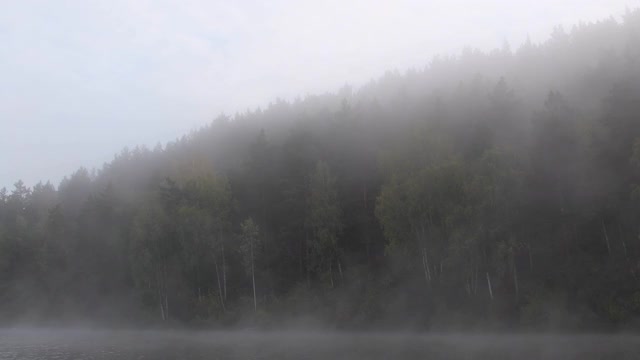 在森林的背景下，浓雾沿着水面移动。清晨江面风平浪静视频素材