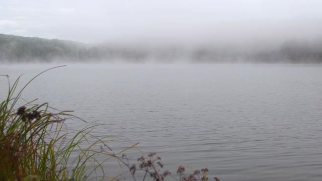 清晨日出时湖面上有雾。钓鱼湖上泛起阵阵涟漪视频素材