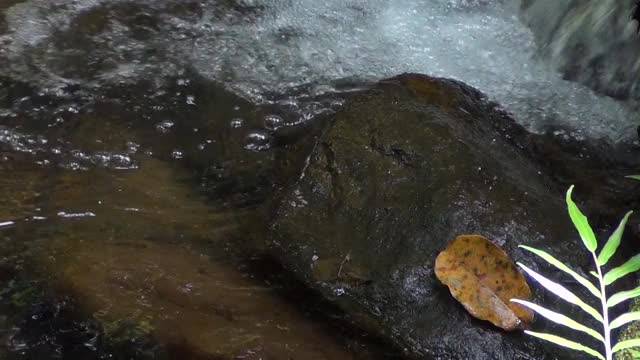 近距离观察水、小溪、河流的急流。视频素材