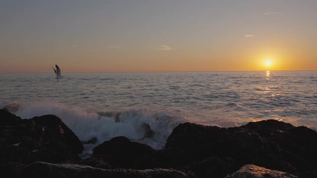 巨大的海洋日落。燃烧的天空，金色的海浪拍打着岩石。日落海4 k。海鸥在飞翔。红色的天空，黄色的太阳和惊人的海洋。夏日夕阳海景。缓慢的运动。视频素材