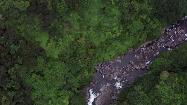 韩国济州岛天池瀑布/西浦寺周围的森林视频素材