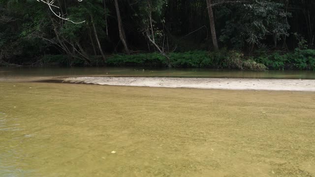 森林中的小溪和河流视频素材