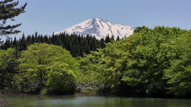 翠绿，乔凯山和池塘视频素材