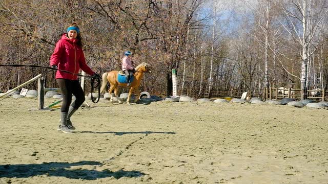 女骑师与一位老师一起从事骑马工作。在竞技场上在马背上表演各种戏法视频素材