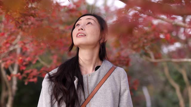 日本女人看日本枫树在秋天视频素材