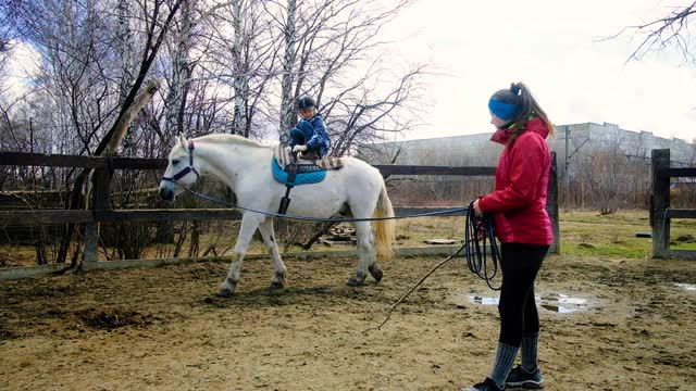 女骑师与一位老师一起从事骑马工作。在竞技场上在马背上表演各种戏法。视频素材