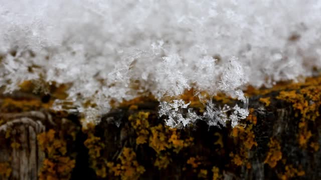 雪融化-宏观。视频素材