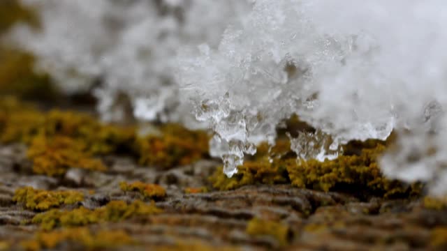 雪融化-宏观。视频素材