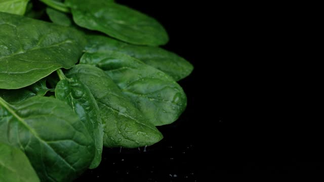 黑色背景下旋转的新鲜菠菜。关闭宏视频视频素材