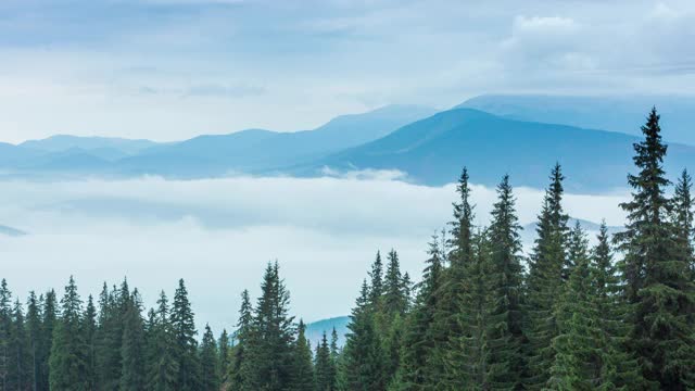 雨时，白云在山间秋山森林中缓缓移动。宁静的景色常绿松林在山上在雾。风景优美、美丽神秘。4 k。视频下载