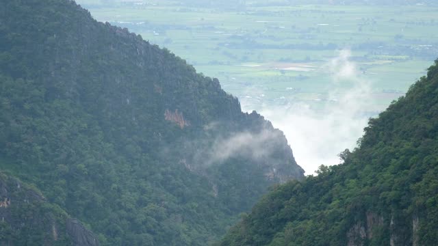 风景雾蒙蒙的绿叶，热带雨林，山脉和丘陵视频素材