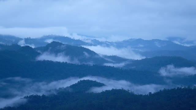 风景雾蒙蒙的绿叶，热带雨林，山脉和丘陵视频素材